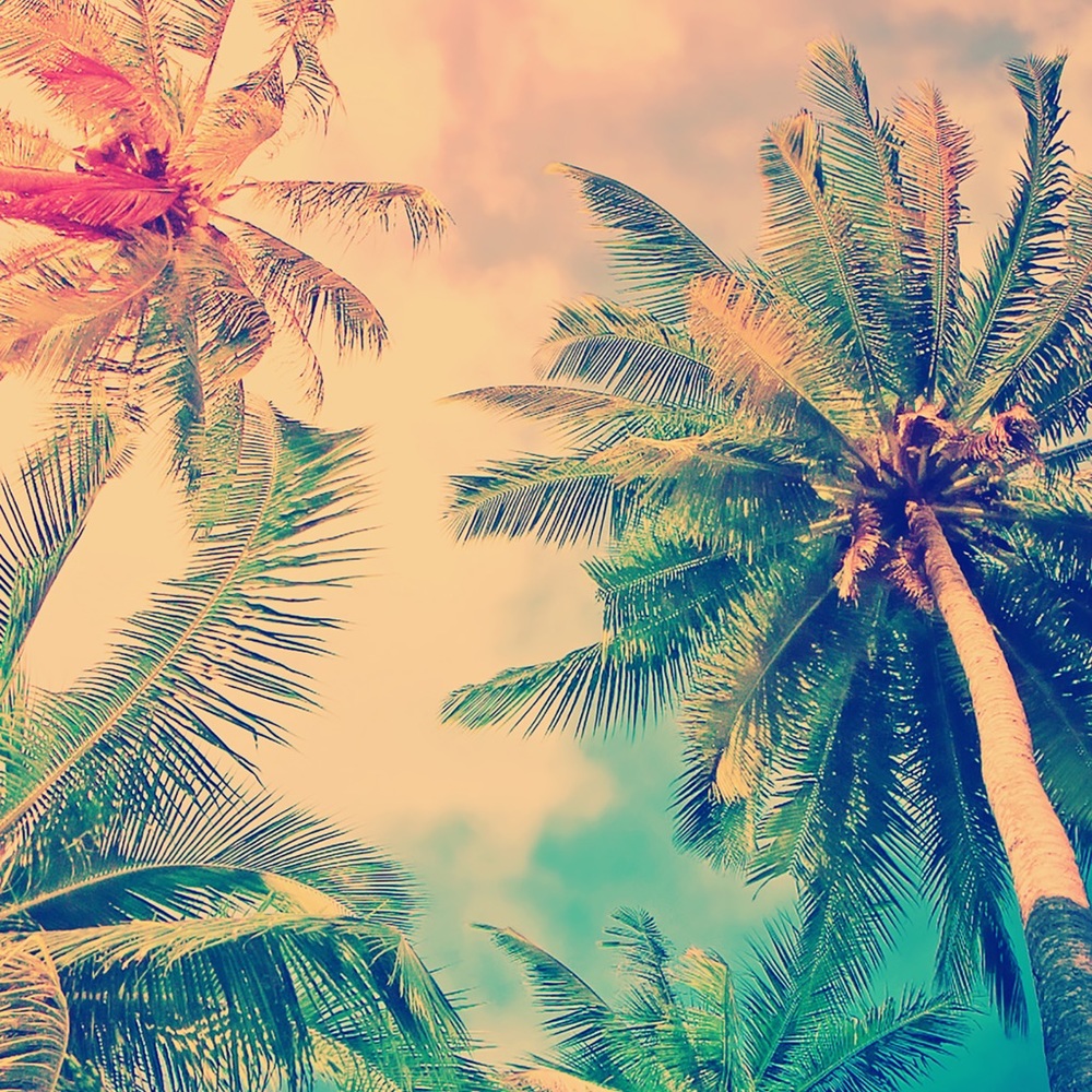 Meet your Posher, Demetra